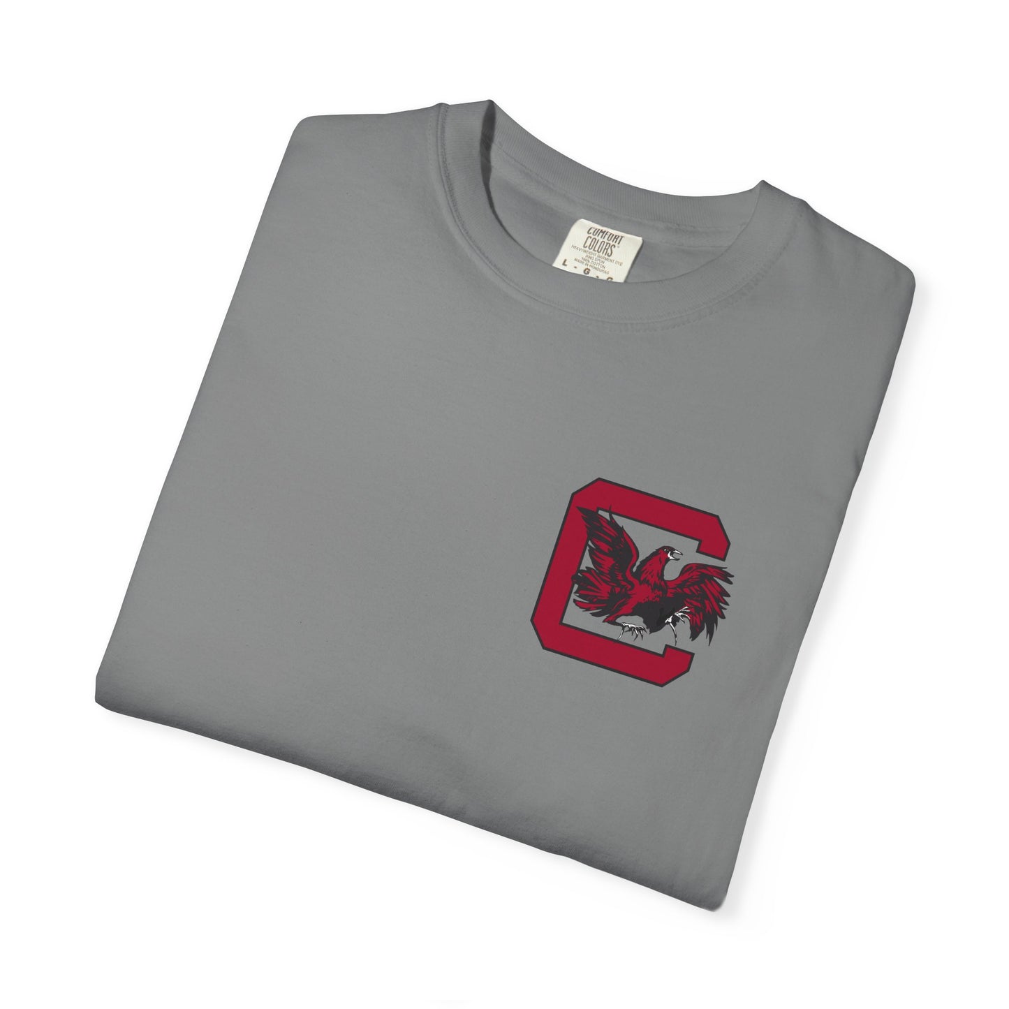 South Carolina Banner Tee